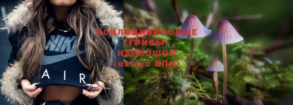 2c-b Алзамай