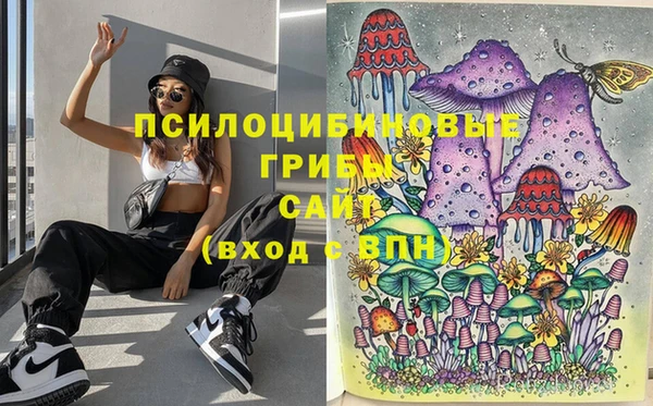 первитин Нея