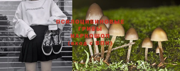 2c-b Алзамай